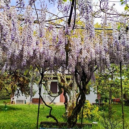 Casetta In Collina Sezze Экстерьер фото