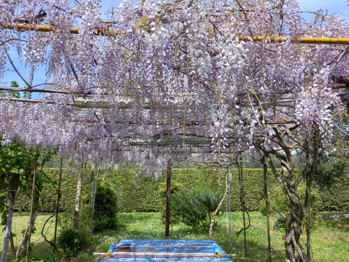 Casetta In Collina Sezze Экстерьер фото